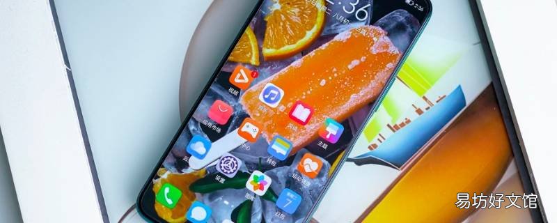 雷鸟ff1手机是什么牌子