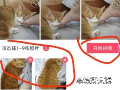如何两张照片合成一张照片