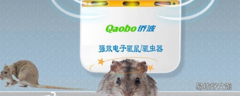 驱鼠器是一直插着电吗