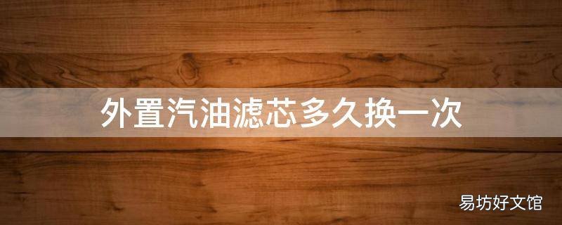外置汽油滤芯多久换一次