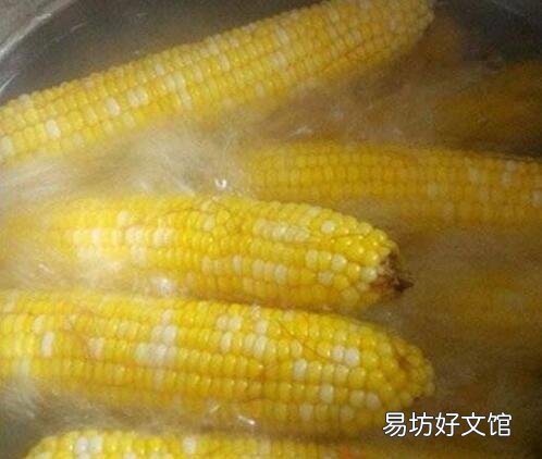 玉米要煮多久可以吃