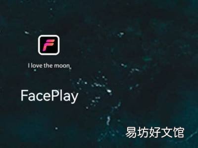 苹果faceplay怎么添加照片