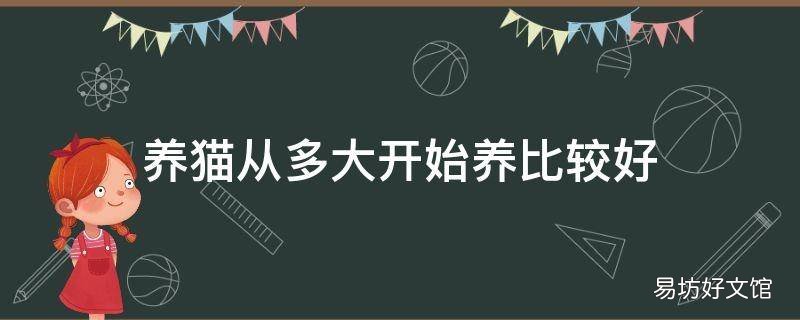 养猫从多大开始养比较好