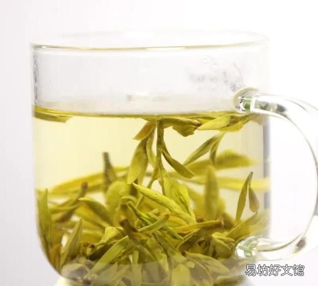 高山绿茶好还是毛尖好,毛尖和高山绿茶都比较浓吗