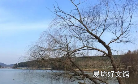 2023年闰二月年景好不好