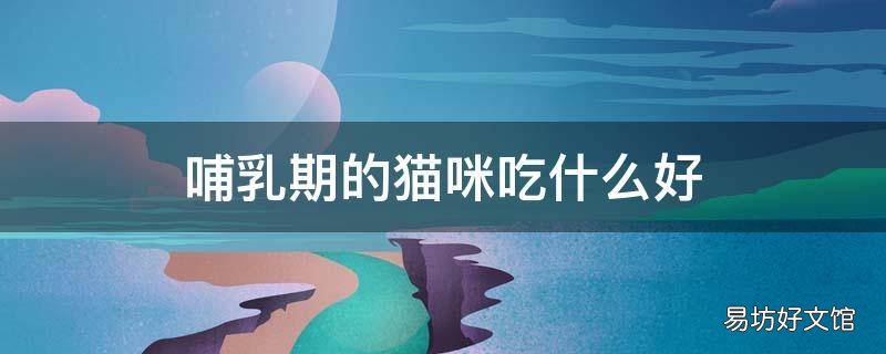 哺乳期的猫咪吃什么好