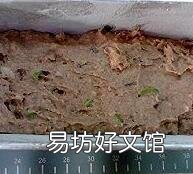 菠萝蜜的核怎么吃法好吃
