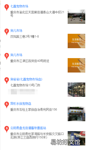重庆哪里买金毛