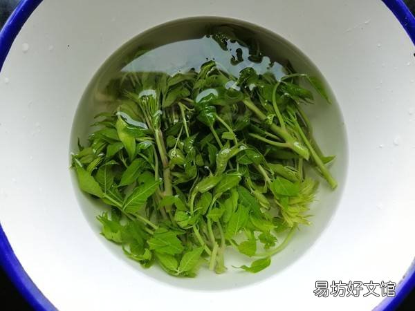 红香椿怎么吃