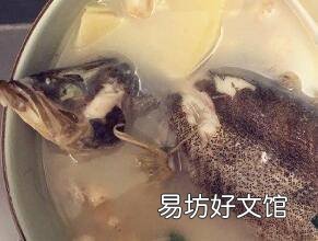 桂鱼汤怎么做好吃喝