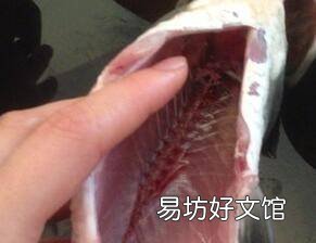 桂鱼汤怎么做好吃喝