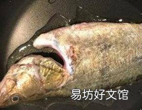 桂鱼汤怎么做好吃喝