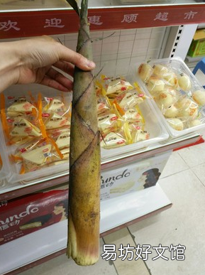 腌毛笋怎么做