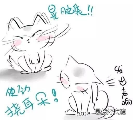 猫有耳螨怎么办