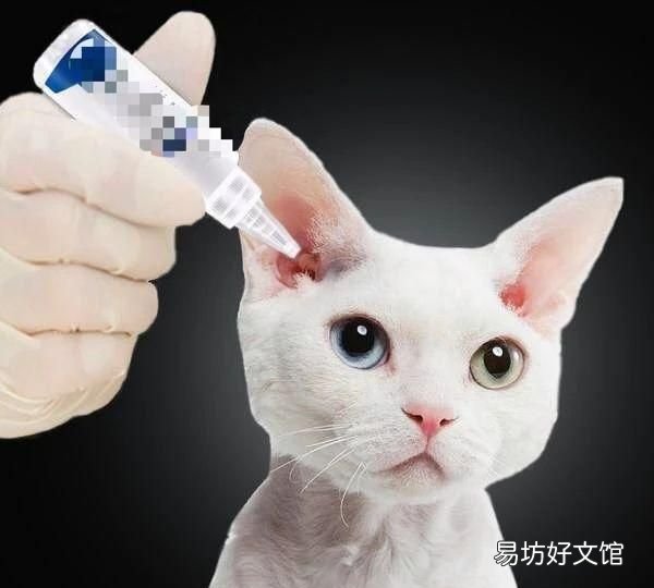 猫有耳螨怎么办