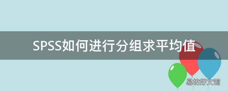 SPSS如何进行分组求平均值
