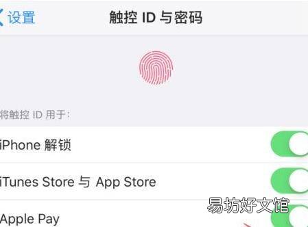 苹果自动填充密码在哪里查看