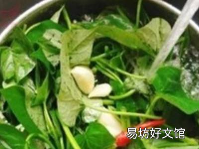 地瓜叶怎么处理