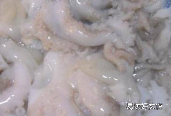 八爪鱼如何清洗