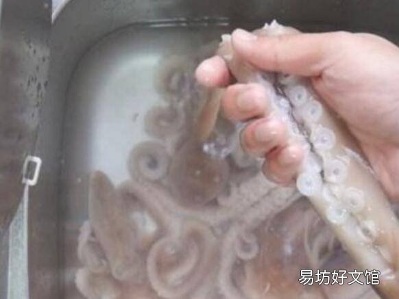 八爪鱼如何清洗