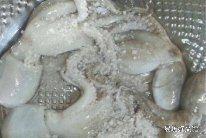 八爪鱼如何清洗
