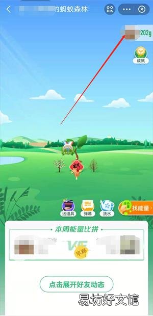 蚂蚁森林怎么屏蔽好友偷能量