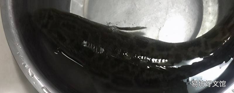 黑鱼怎么片鱼片技巧
