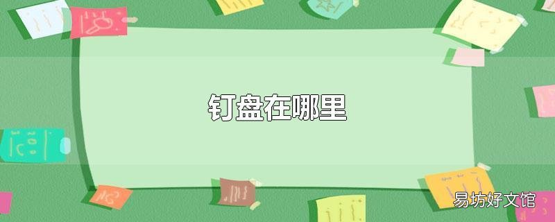 钉盘在哪里