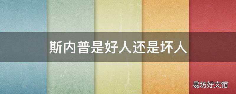 斯内普是好人还是坏人