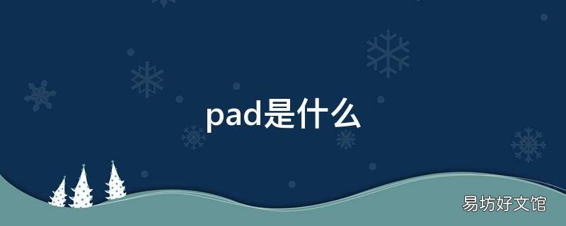 pad是什么