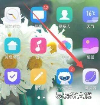 vivo浏览器隐私视频在哪里