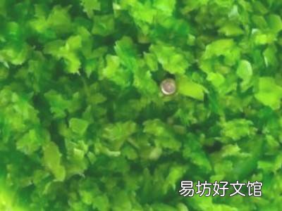 青椒肉馅饺子怎样调馅