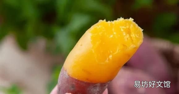 吃什么食物可以帮助减脂