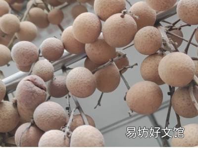元肉怎么晒干