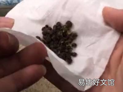怎么防止米桶里生虫子