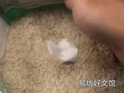 怎么防止米桶里生虫子