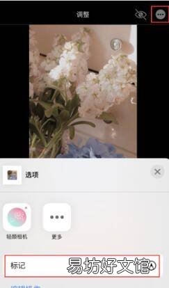 iphone图片编辑画笔没有了