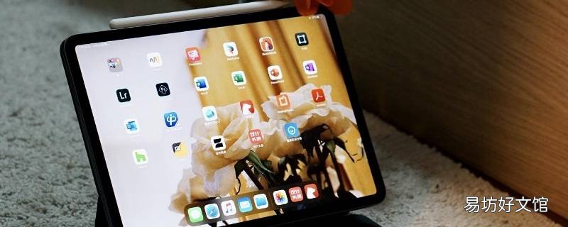 ipad的小圆点在哪里设置