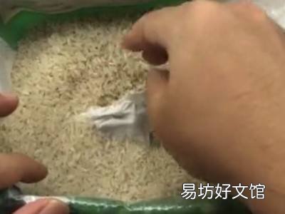 大米如何防米虫