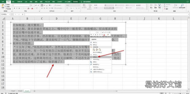 EXCEL怎样首行缩进两个字