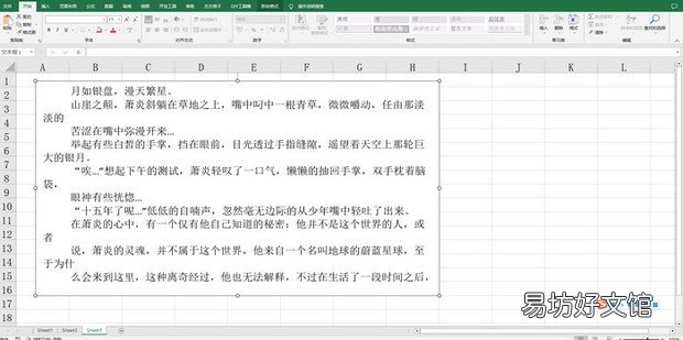 EXCEL怎样首行缩进两个字