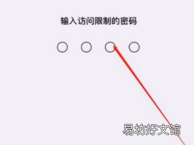 苹果X在哪儿设置应用加密