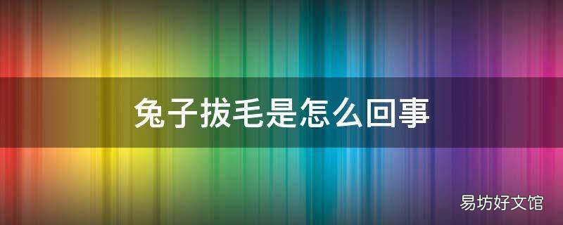 兔子拔毛是怎么回事