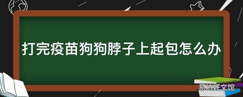 打完疫苗狗狗脖子上起包怎么办
