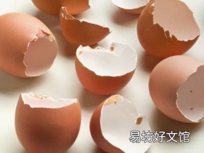 如何驱赶壁虎到室外