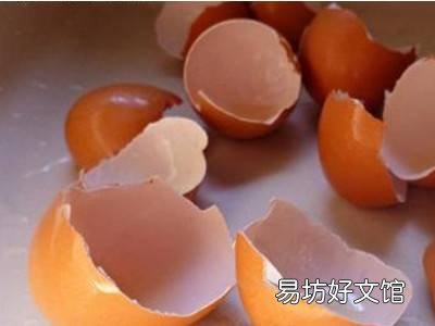 如何驱赶壁虎到室外