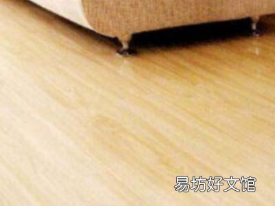 如何杀死下水道蜈蚣