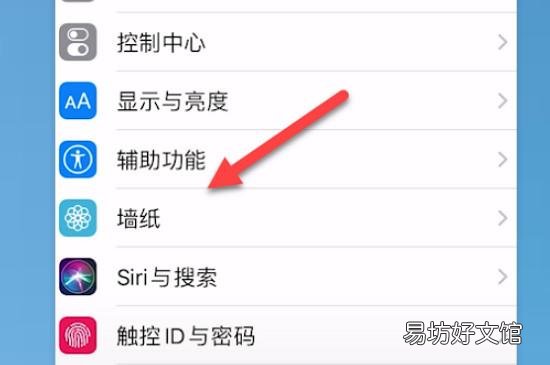 苹果11怎么设置动态壁纸