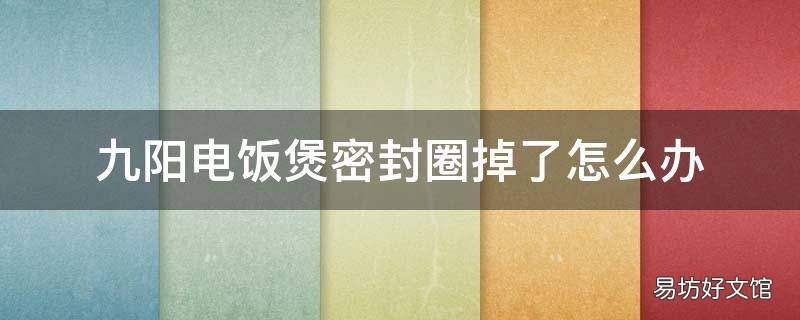 九阳电饭煲密封圈掉了怎么办