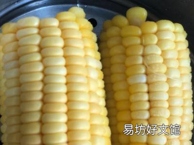 蒸玉米多久可以蒸熟